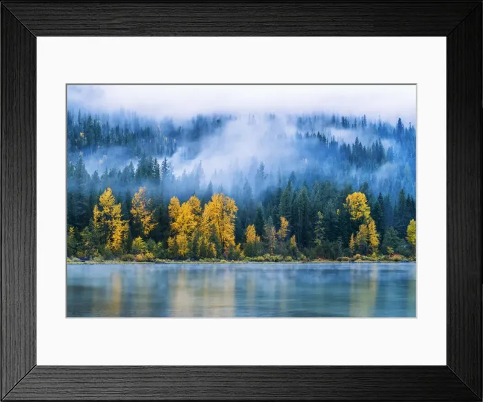 Framed Print : Low Mist and Autumn Trees Reflecting in Lake Wenatchee, Wenatchee National Forest Framed Print : Low Mist and Autumn Trees Reflecting in Lake Wenatchee, Wenatchee National Forest