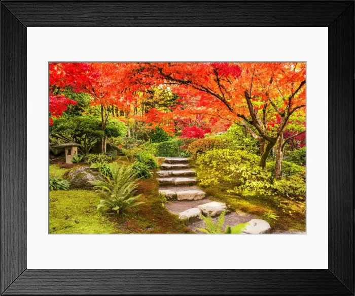 Framed Print : Path Through Japanese Garden in Autumn, Seattle, Washington, USA Framed Print : Path Through Japanese Garden in Autumn, Seattle, Washington, USA