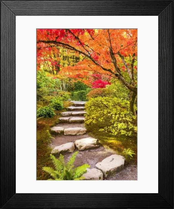 Framed Print : Japanese Garden in Autumn, Seattle, Washington, USA