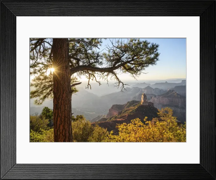 Framed Print : North America, USA, Desert Southwest; Colorado Plateau, Arizona, Grand Canyon National Framed Print : North America, USA, Desert Southwest; Colorado Plateau, Arizona, Grand Canyon National