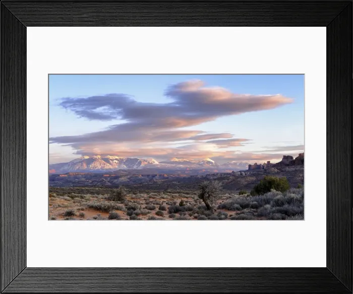 Framed Print : U. S. A. Utah, Arches National Park, La Sal Mountains viewed from Arches National Park