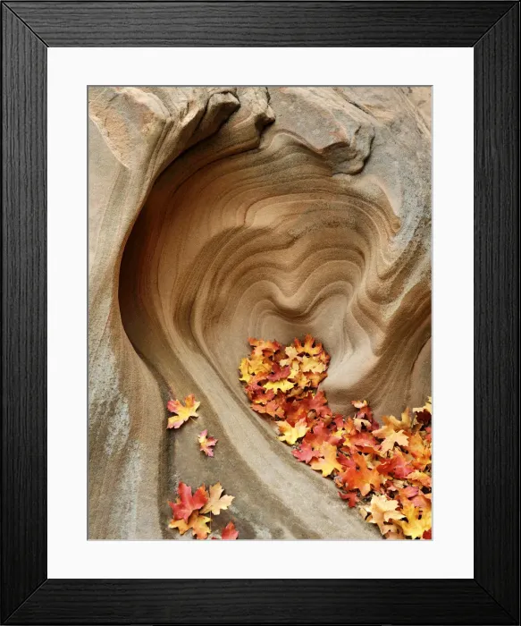 Framed Print : U. S. A. Utah, Zion National Park, Heart Shaped Rock Framed Print : U. S. A. Utah, Zion National Park, Heart Shaped Rock