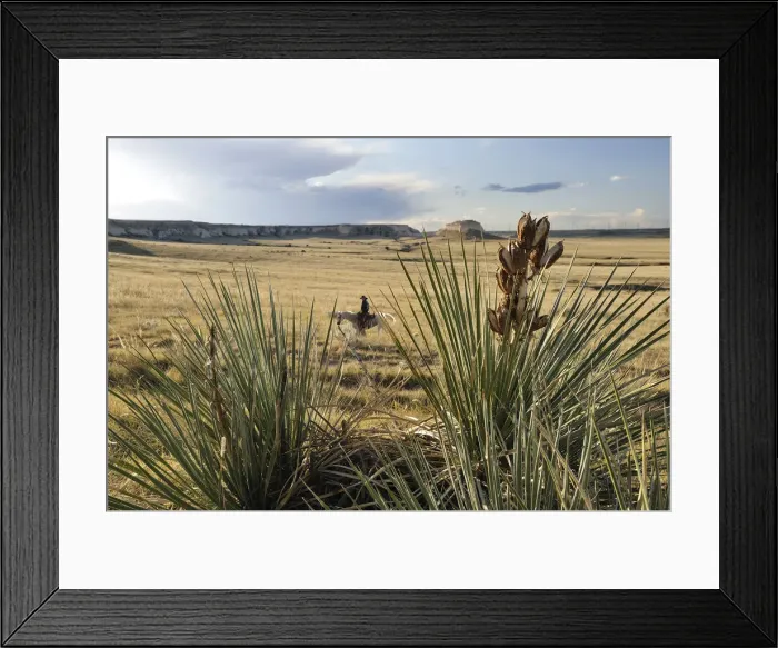 Framed Print : Cowboy in Pawnee National Grassland, Colorado, USA