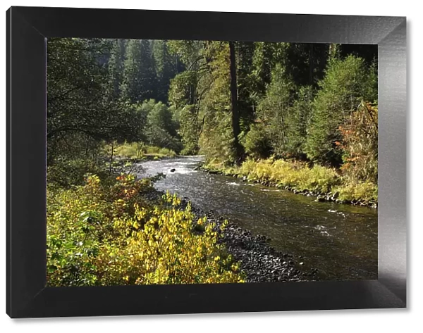 North Santiam River, Cascade Mountains, Oregon, USA