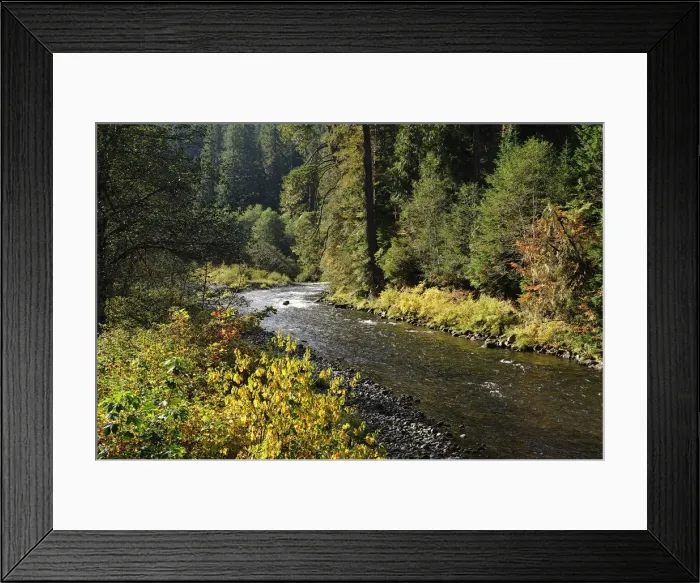 Framed Print : North Santiam River, Cascade Mountains, Oregon, USA