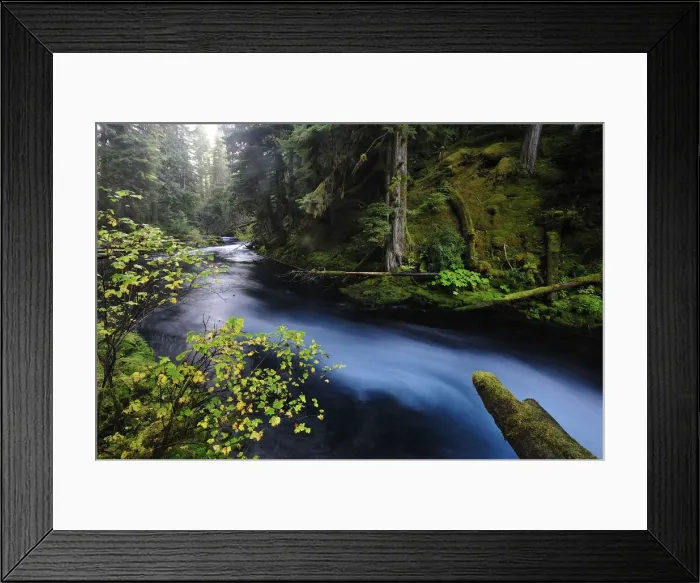Framed Print : McKenzie River, Willamette National Forest, Oregon, USA Framed Print : McKenzie River, Willamette National Forest, Oregon, USA