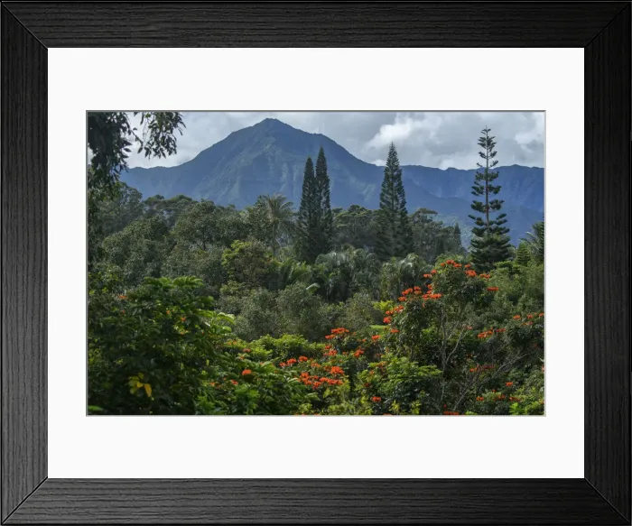 Framed Print : USA, Hawaii, Kauai, North Shore, North Shore Framed Print : USA, Hawaii, Kauai, North Shore, North Shore