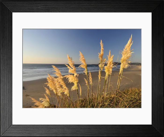 Framed Print : Cannon Beach, Oregon Coast, Oregon, USA