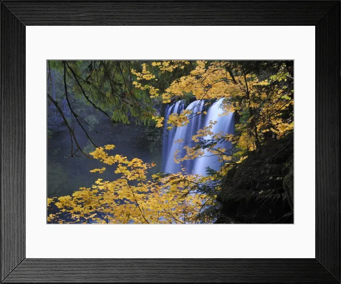 Framed Print : Koosah Falls in Willamette National Forest, Oregon, USA Framed Print : Koosah Falls in Willamette National Forest, Oregon, USA