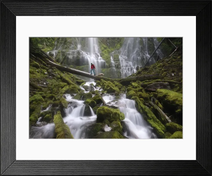 Framed Print : Man walking dog at Proxy Falls, Oregon, USA MR Framed Print : Man walking dog at Proxy Falls, Oregon, USA MR