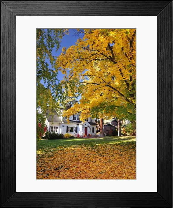 Framed Print : House and gardens in autumn, Bend, Oregon, USA Framed Print : House and gardens in autumn, Bend, Oregon, USA