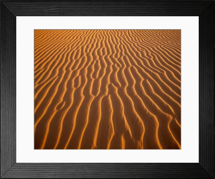 Framed Print : Sand Dune Patterns, Algondones Dunes Wilderness, California, USA Framed Print : Sand Dune Patterns, Algondones Dunes Wilderness, California, USA