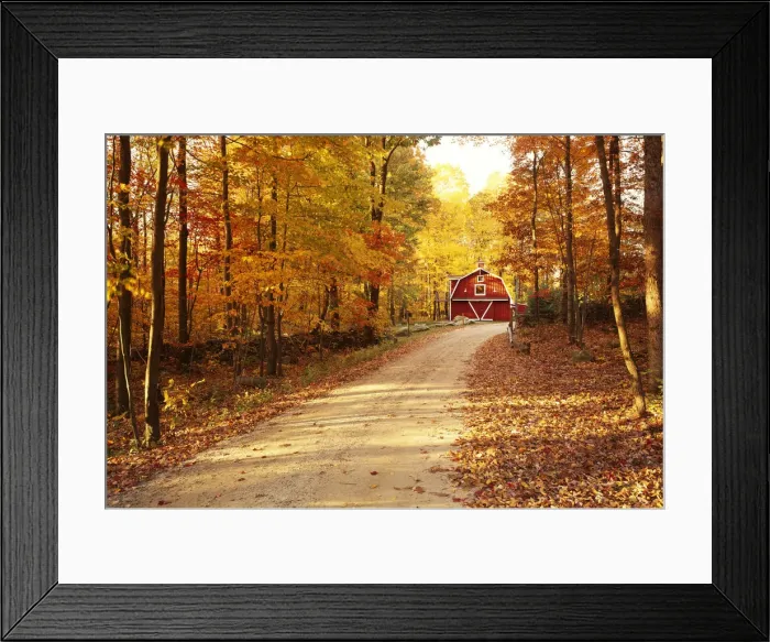 Framed Print : Country Lane & Red Barn, Ashford, Connecticut, USA Framed Print : Country Lane & Red Barn, Ashford, Connecticut, USA