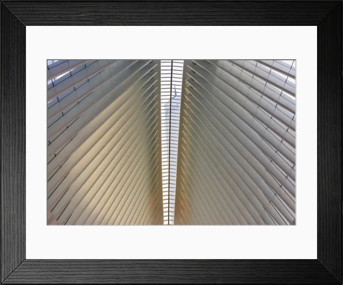 Framed Print : World trade centre towering above the terminal, New York, USA Framed Print : World trade centre towering above the terminal, New York, USA