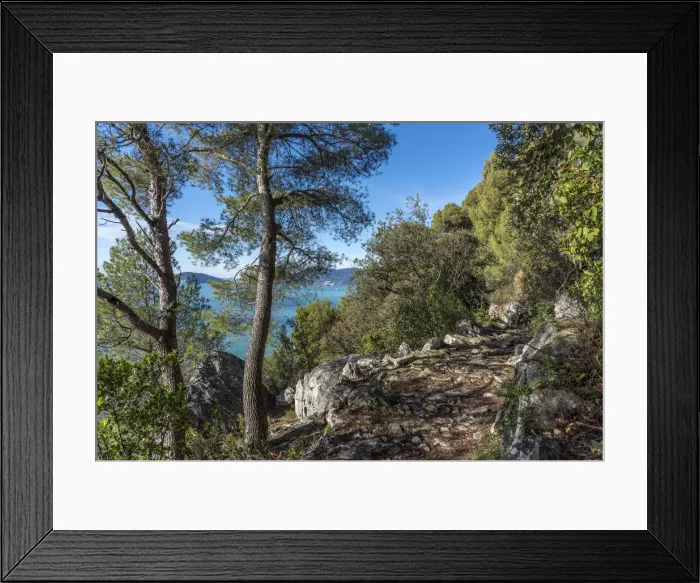 Framed Print : Europe, Italy, Liguria, Coastal trail near to Lerici Framed Print : Europe, Italy, Liguria, Coastal trail near to Lerici