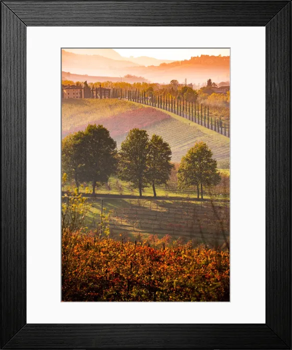 Framed Print : Castelvetro, Modena, Emilia Romagna, Italy