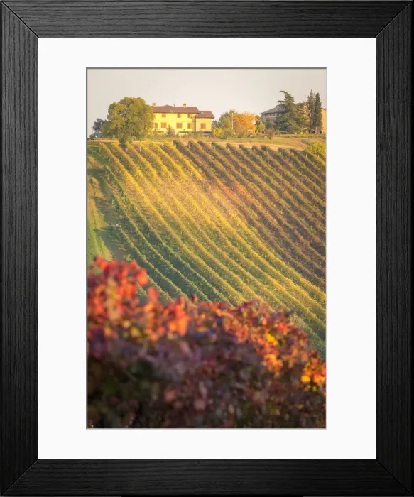 Framed Print : Castelvetro, Modena, Emilia Romagna, Italy Framed Print : Castelvetro, Modena, Emilia Romagna, Italy