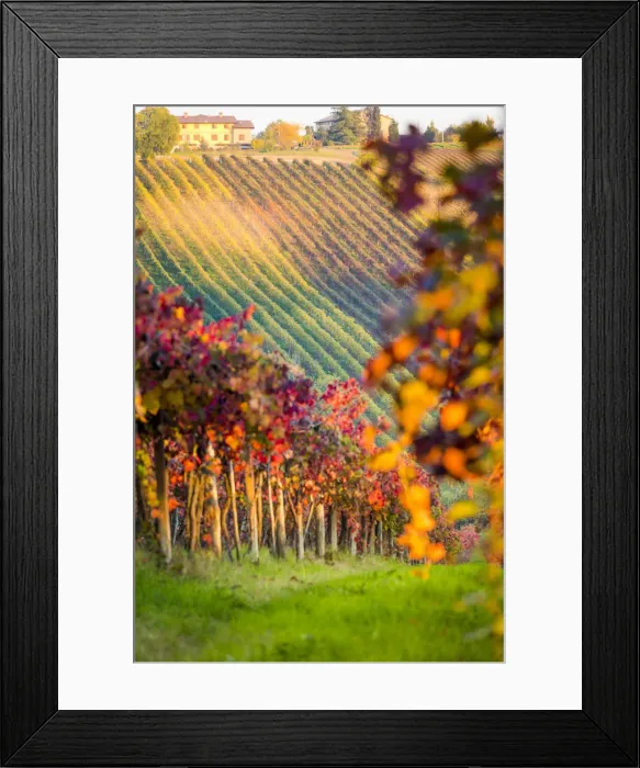 Framed Print : Castelvetro, Modena, Emilia Romagna, Italy Framed Print : Castelvetro, Modena, Emilia Romagna, Italy