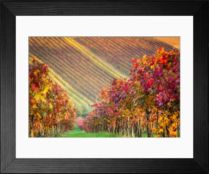 Framed Print : Castelvetro, Modena, Emilia Romagna, Italy Framed Print : Castelvetro, Modena, Emilia Romagna, Italy