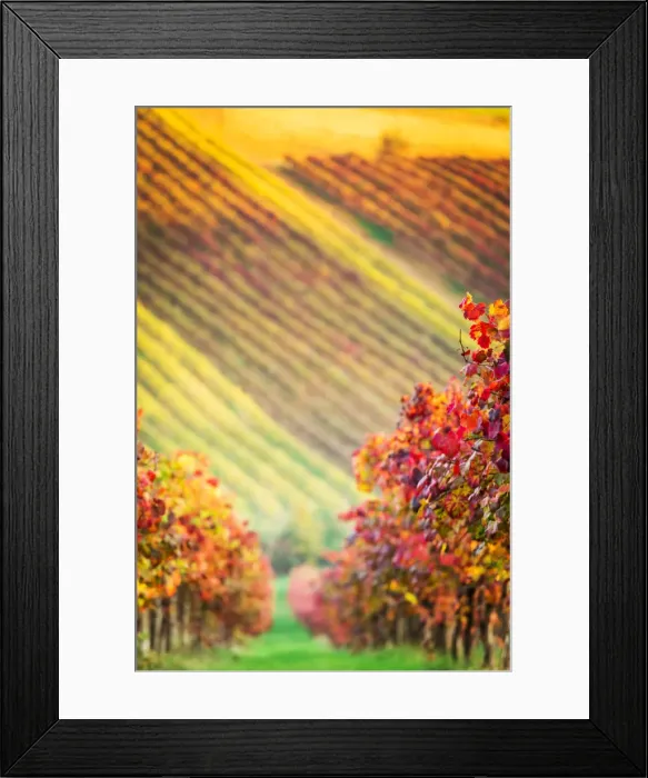 Framed Print : Castelvetro, Modena, Emilia Romagna, Italy Framed Print : Castelvetro, Modena, Emilia Romagna, Italy