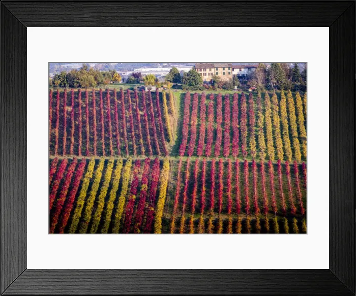 Framed Print : Castelvetro, Modena, Emilia Romagna, Italy Framed Print : Castelvetro, Modena, Emilia Romagna, Italy