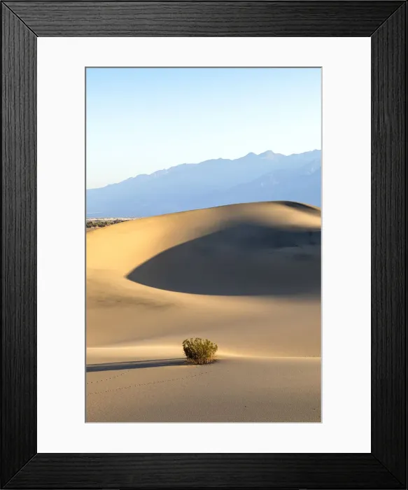 Framed Print : Mesquite Flat Sand Dunes, Death Valley National park, California, USA Framed Print : Mesquite Flat Sand Dunes, Death Valley National park, California, USA
