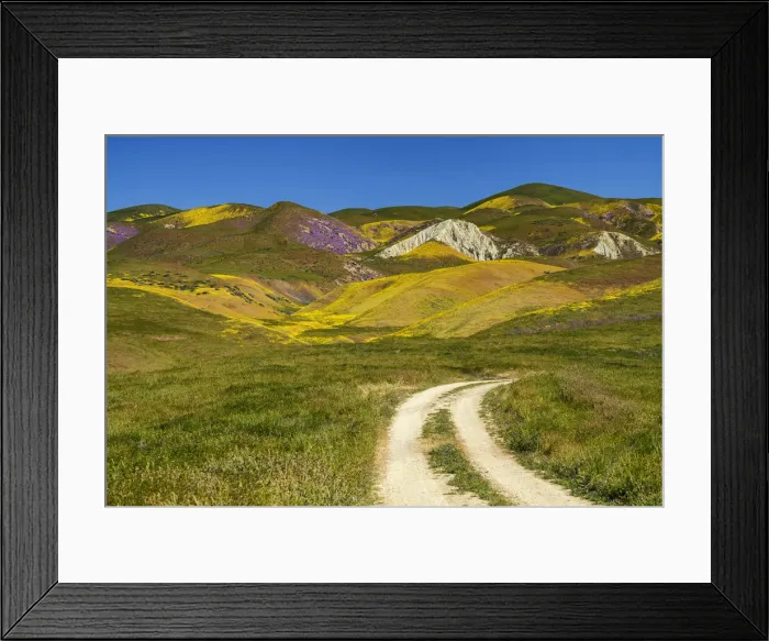 Framed Print : Track to Hill of Wildflowers, Carrizo Plain National Monument, California, USA Framed Print : Track to Hill of Wildflowers, Carrizo Plain National Monument, California, USA
