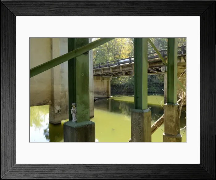 Framed Print : USA, Alabama, Birmingham, Cahaba river bridge Framed Print : USA, Alabama, Birmingham, Cahaba river bridge