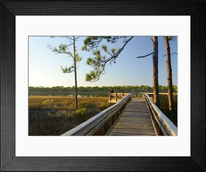 Framed Print : USA, Florida, Franklin County, Gulf of Mexico, Apalachicola, St. George Island State Park Framed Print : USA, Florida, Franklin County, Gulf of Mexico, Apalachicola, St. George Island State Park