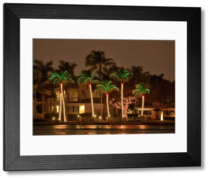 Framed Print : USA, Florida, Broward County, Fort Lauderdale, Illuminated Palm Trees
