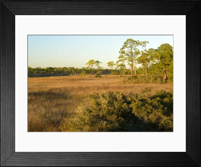 Framed Print : USA, Florida, Franklin County, Gulf of Mexico, Apalachicola, St. George Island State Park Framed Print : USA, Florida, Franklin County, Gulf of Mexico, Apalachicola, St. George Island State Park
