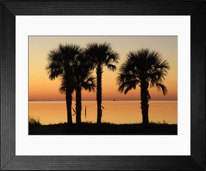 Framed Print : USA, Florida, Franklin County, Gulf of Mexico, Apalachicola, St Framed Print : USA, Florida, Franklin County, Gulf of Mexico, Apalachicola, St