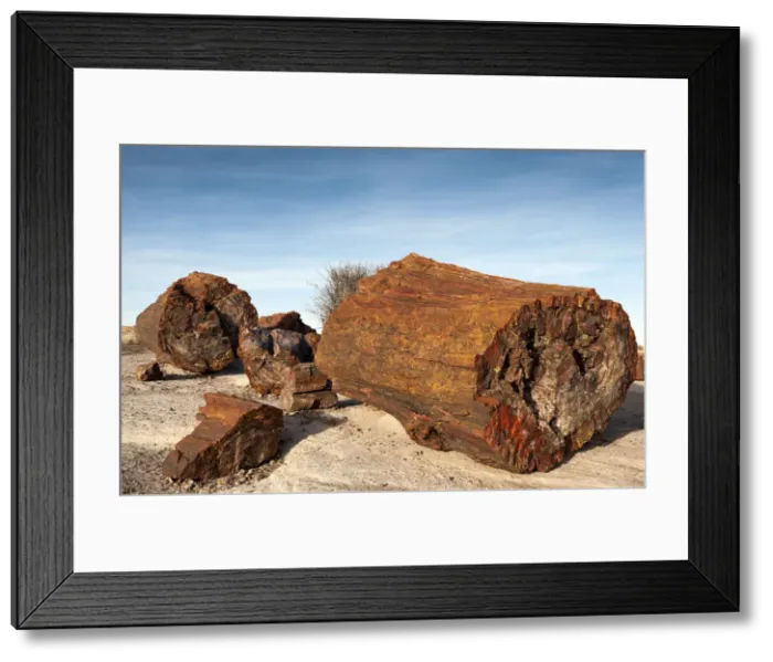 Framed Print : United States of America, Arizona, Petrified Forest National Park