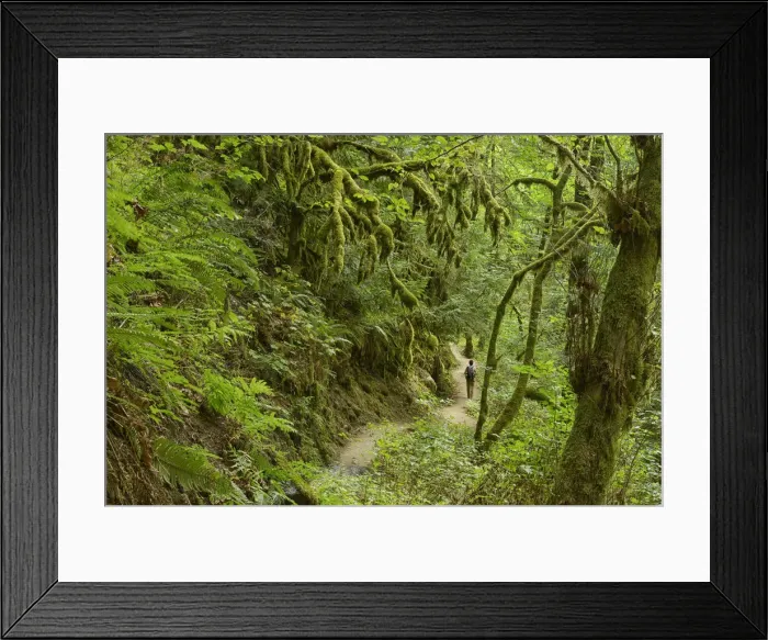 Framed Print : Hiker at Elowah Falls, Columbia River Gorge National Scenic Area, Multnomah County Framed Print : Hiker at Elowah Falls, Columbia River Gorge National Scenic Area, Multnomah County