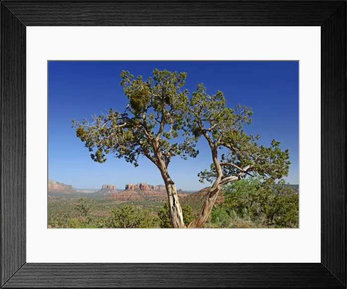Framed Print : Canyon Landscape near Sedona, Arizona, USA Framed Print : Canyon Landscape near Sedona, Arizona, USA