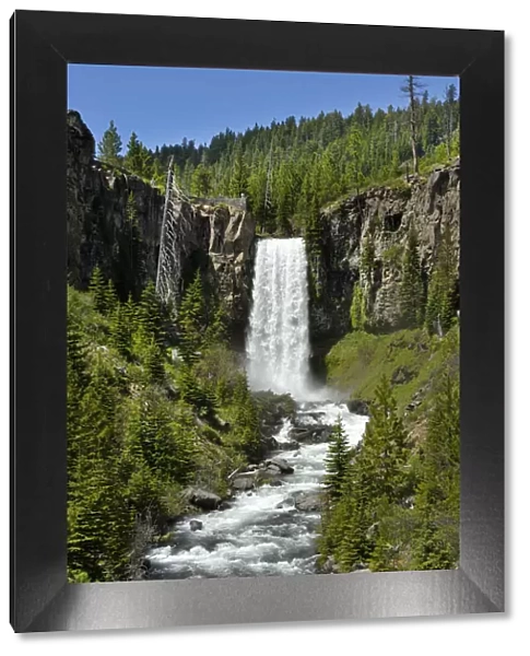Tumalo Falls of Tumalo Creek, Deschutes County, near city of Bend, Central Oregon, USA