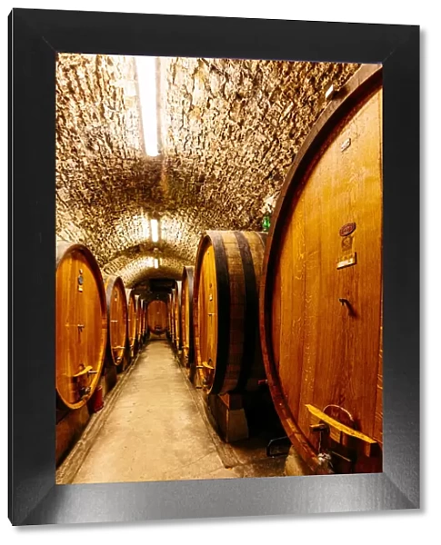 Chianti Wine Barrels in cellar, Tuscany, Italy