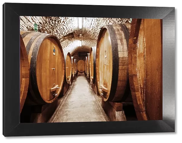 Chianti Wine Barrels in cellar, Tuscany, Italy