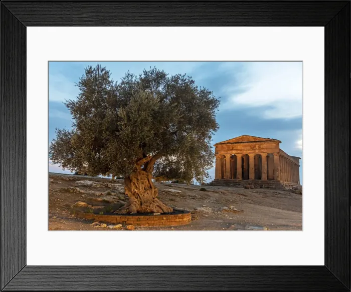 Framed Print : Europe, Italy, Sicily. Agrigento, the temple of Concordia at sunset Framed Print : Europe, Italy, Sicily. Agrigento, the temple of Concordia at sunset