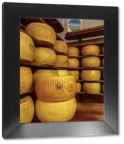 Parmigiano Reggiano, Parmesan cheese, Bologna, Emilia-Romagna, Italy