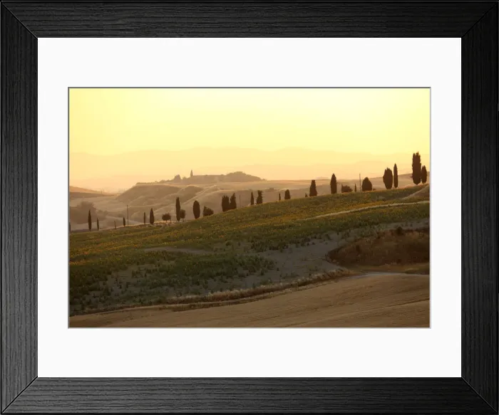 Framed Print : Europe; Italy; Tuscany; Val d Orcia, landscape with road lined with cypress trees Framed Print : Europe; Italy; Tuscany; Val d Orcia, landscape with road lined with cypress trees