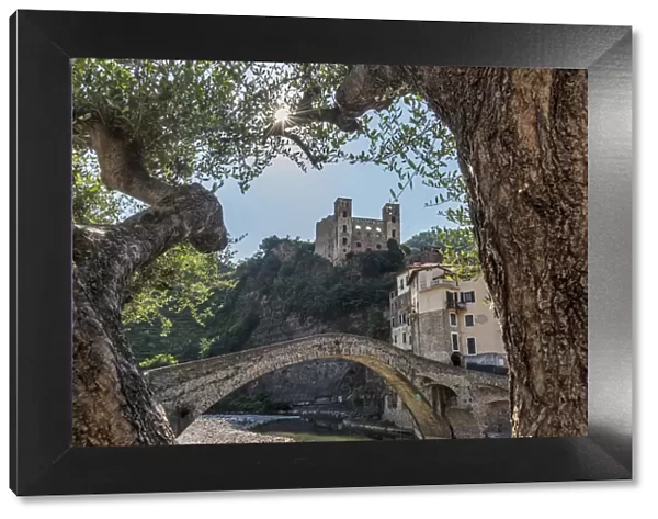 Europe, Italy, Liguria. Dolceacqua. The old bridge and castle seen through old olive
