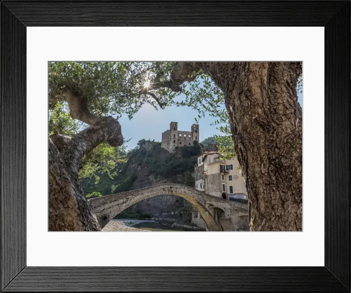 Framed Print : Europe, Italy, Liguria. Dolceacqua. The old bridge and castle seen through old olive