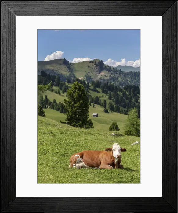 Framed Print : Italy, Trentino-Alto Adige Alto Adige, Sudtirol, Alps, Dolomites, Sellaronda Framed Print : Italy, Trentino-Alto Adige Alto Adige, Sudtirol, Alps, Dolomites, Sellaronda