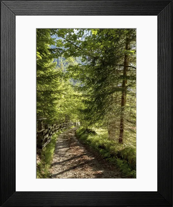Framed Print : Italy, Trentino-Alto Adige Alps, Dolomites, Trento district, Val di Fassa Framed Print : Italy, Trentino-Alto Adige Alps, Dolomites, Trento district, Val di Fassa