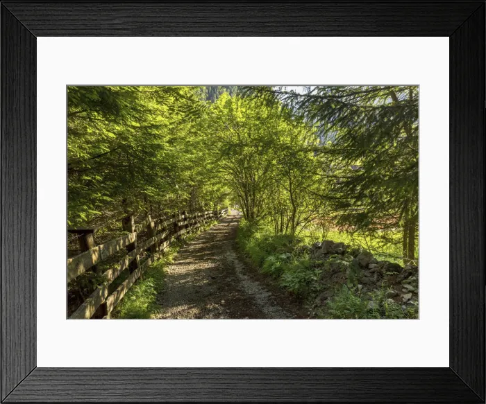 Framed Print : Italy, Trentino-Alto Adige, Alps, Dolomites, Trento district, Val di Fassa