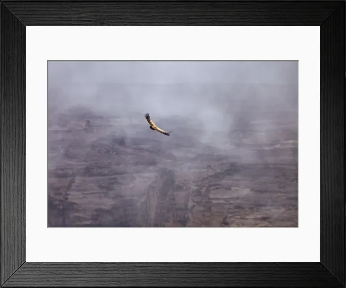 Framed Print : Yemen, Sana a Province, Bokhur Plateau Framed Print : Yemen, Sana a Province, Bokhur Plateau
