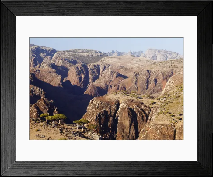 Framed Print : Yemen, Socotra, Dixam Plateau. Dragon Blood Trees Framed Print : Yemen, Socotra, Dixam Plateau. Dragon Blood Trees