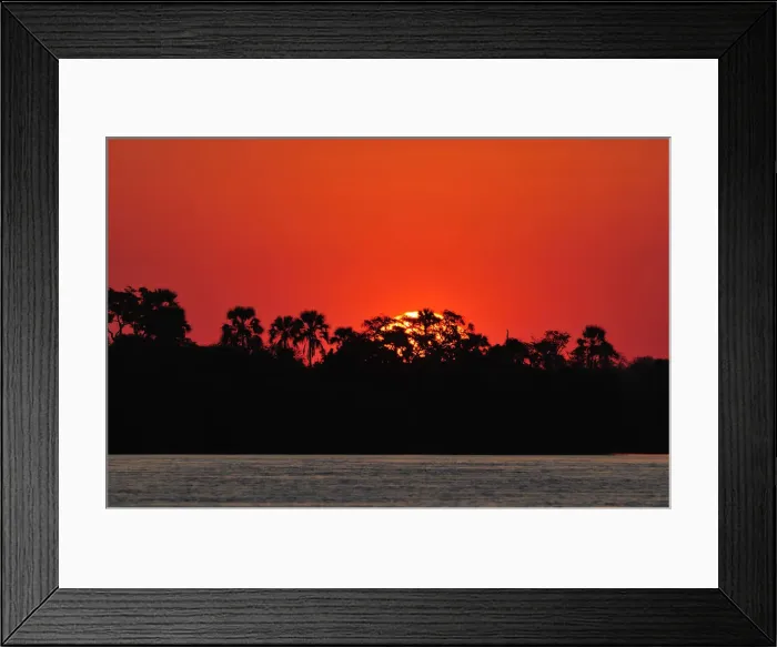 Framed Print : Sunset over water with palm trees, , Zambezi River, near Victoria Falls, Zimbabwe, Africa Framed Print : Sunset over water with palm trees, , Zambezi River, near Victoria Falls, Zimbabwe, Africa