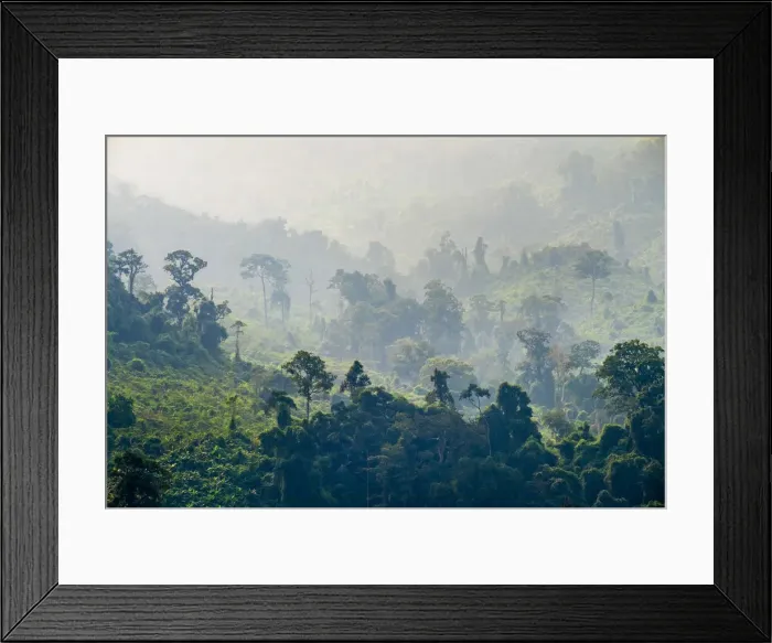 Framed Print : Jungle landscape along Ho Chi Minh Highway West, Phuoc Son District, Quang Nam Province Framed Print : Jungle landscape along Ho Chi Minh Highway West, Phuoc Son District, Quang Nam Province